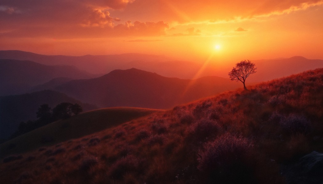  Gangtok 3 N + Lachen 1 n + Lachung  1 N + Pelling 2N +  Darjeeling 2N 