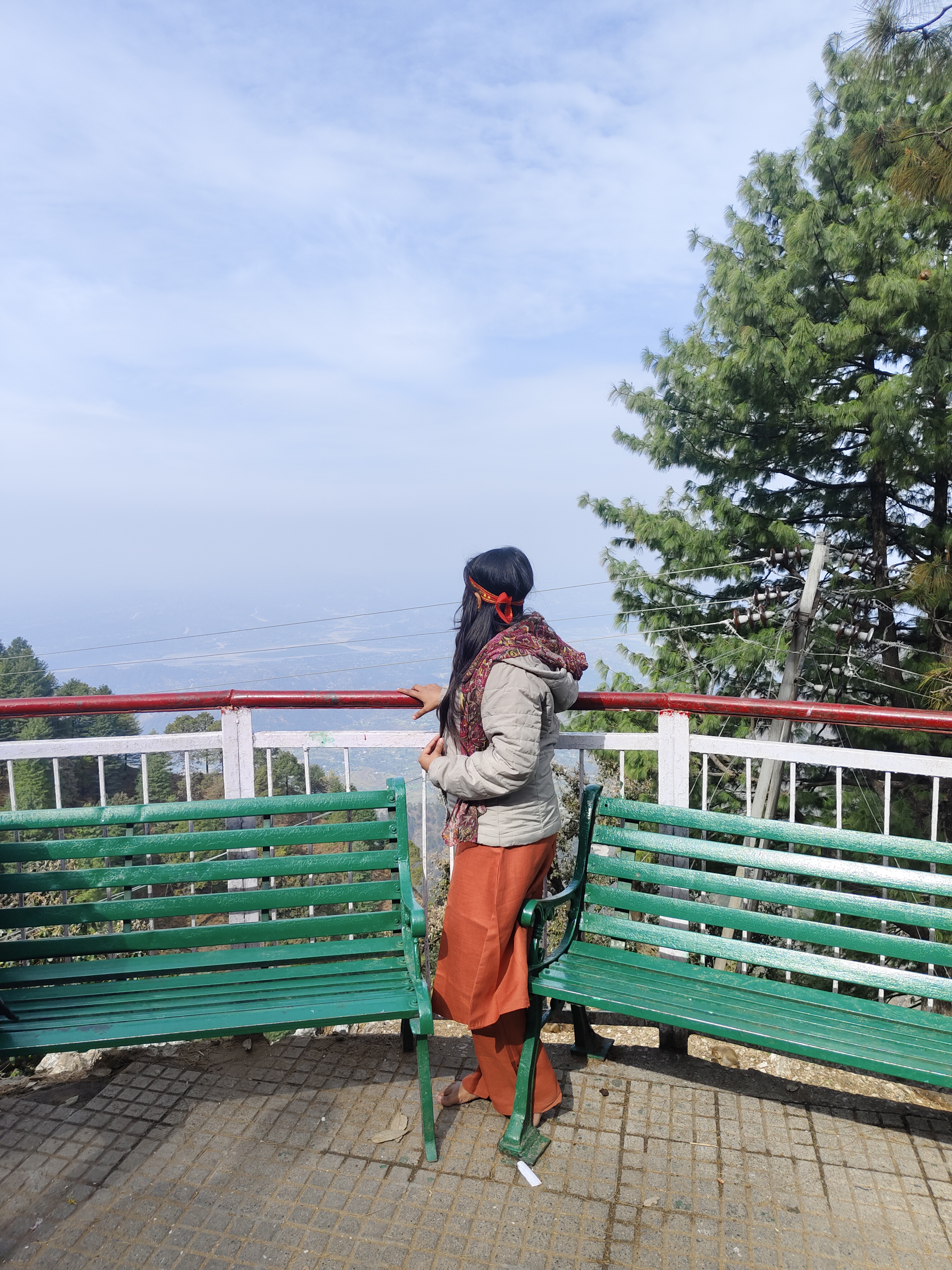 Pallavi local tours
