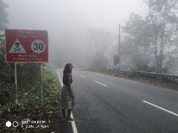 Tharani Traveller