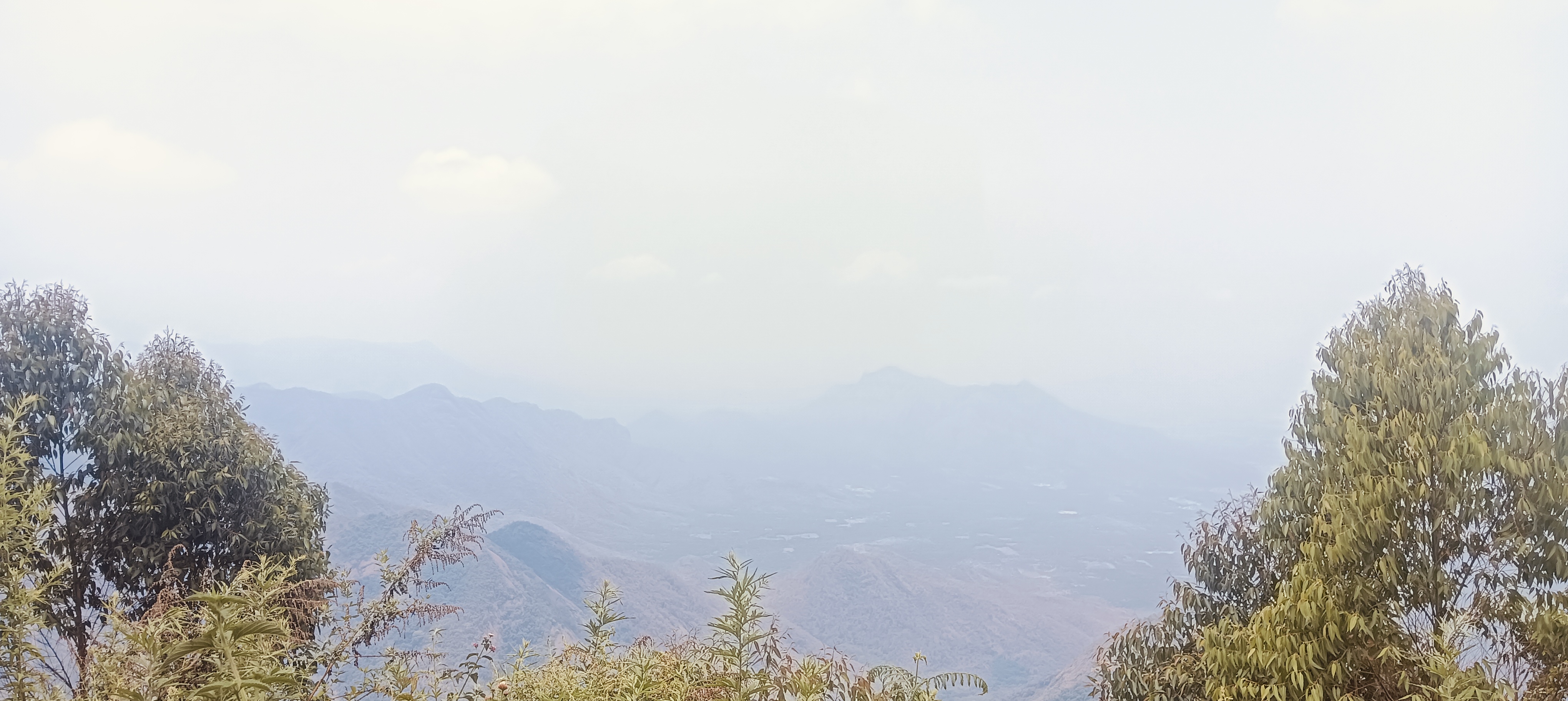 Saju photo 2
